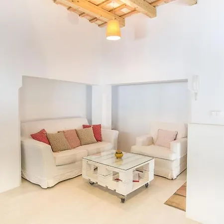 Loft Con Terraza Privada Apartment